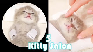 Kitty SALON 5😊: Extra Long Super cute kitten baby cat having SPA treatment with SPA Music ASMR