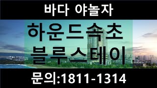 하운드속초블루스테이 대표문의(1811-1314)