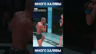 САМЫЕ УБОЙНЫЕ УДАРЫ #ludobzor #mma #like #shorts