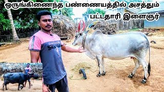 நாட்டு மாடு, முரா எருமை, கோழிகள்  ஒருங்கிணைந்த  பண்ணையத்தில் அசத்தும் பட்டதாரி இளைஞர்