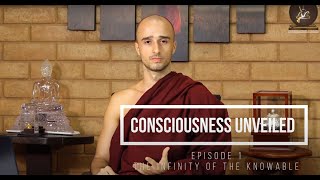 IIT | Consciousness Unveiled: Episode 1 - The Infinity of the Knowable | (Brazil) Ariyañāṇa Bhante