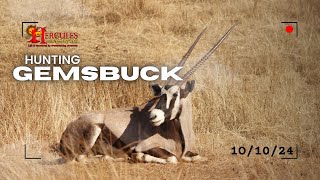 Gemsbuck Hunt in South Africa | Hercules Safaris Experience