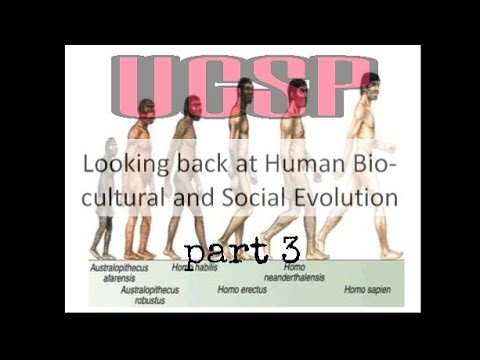 SHS UCSP: Lesson 3 Looking Back At Human Biocultural And Social ...