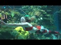 2018 Live Redhead Mermaid Show - Las Vegas