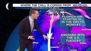 Local 10 Weather Brief: 1/24/2025 Night Edition