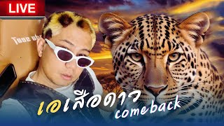 (LIVE)เอเสือดาวไงหนู ไม่คุ้นหูหนูเลยหรอ เสือCOMEBACK  | WRC