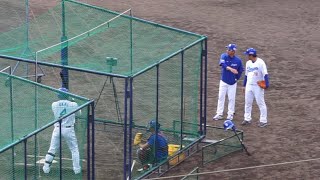 鵜飼航丞の打撃練習、立浪監督が何か言いたげなご様子で森野コーチと見守る 中日ドラゴンズ沖縄キャンプ 2023/02/19