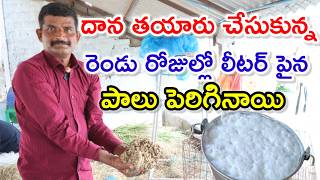 సొంతంగా దాన feed preparation for dairy farm @MalleshAdla