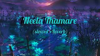 Neelathamare punyam choodiyen[slowed +Reverb](1)#loflove