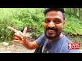 kasol malayalam travel video malayalam travel vlog ഹിമാലയൻ ഗ്രാമ യാത്രയിൽ കൂട്ടിനെത്തിയ അഥിതി