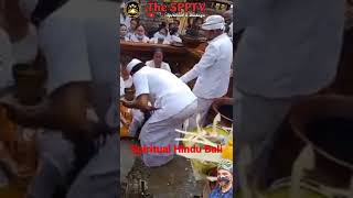 Spiritual Hindu Bali Spiritual Perkutut Putih...