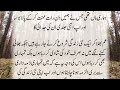 islamic stories in urdu interesting stories in urdu hindi kahani sachi kahaniyan