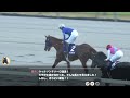 【ウマ娘風競馬mad】第25回gⅠチャンピオンズカップ 2024 【ダイナミックカメラ風】