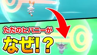 【ポケモン剣盾】普通のリベロヒバニーが色違いと交換できちゃう【ソードシールド】