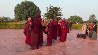 เสาอโศก ลุมพินี สถานที่ประสูติ ประเทศเนปาล