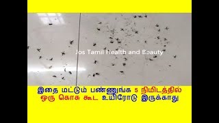 இதை மட்டும் பண்ணுங்க 5 நிமிடத்தில் ஒரு கொசு கூட உயிரோடு இருக்காது | natural mosquito killer