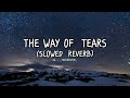 THE WAY OF TEARS | SABEEL UD DUMU | NASHEED (SLOWED REVERB)