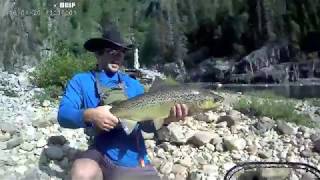 Ouananiche - Pêche à la mouche en rivière - Lac Saint-Jean