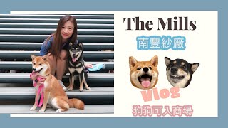 狗狗🐶南豐紗廠VLOG兩隻柴柴去玩·紗廠·美食分享，內有狗狗餐單