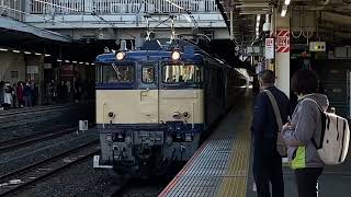 EF64 1031 ＋E231系800番台 AT入場 入線