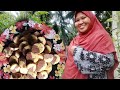 cara buat biskut kerang simple by kak nur @tip tanpa guna acuan