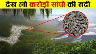 यहाँ नदी नहीं सांप बहते है snake island ! snakes ! earth adventure in hindi ! informative