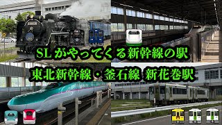 【SLが来た新幹線駅!!】東北新幹線・釜石線 新花巻駅