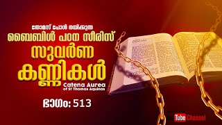 513-Mt 8:28-34, -ബൈബിൾ പഠനം- Catena aurea led by Thomas Paul and Team