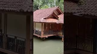 Rumah Panggung Klasik #shorts