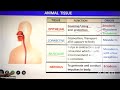 Animal Tissue L-08 | 03-07-2022 | Amar Sir | Biology 11 PCMB B3 | 21-23 | VSA