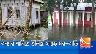 বন্যা পরিস্থিতি উন্নতি হলেও বাড়িঘরে পানি থাকায় দুর্ভোগে হাজারো মানুষ।