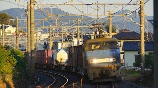 2015/11/04 CAIコンテナ12基積載 【1090レ】EF200-7[吹]号機＋コキ25B 東海道本線