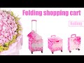 folding shopping cart,best shopping carts 2021,foldable hand trolley,rolling cart,go push trolley