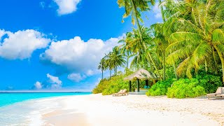 White Sandy Beach with Bossa Nova Cafe Music & Ocean Waves Sounds for Relaxation, Stress Relief