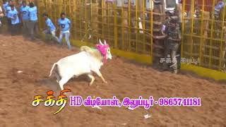 Navalpattu Pannai Senthil Maadu in Thuvakudi Jallikattu 2018