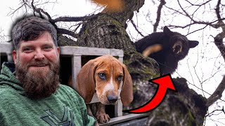 Puppy’s EPIC First Chase: Hunting Black Bears in Appalachia!