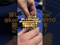 【ポケカ】【開封動画】こんチャンネル　プレゼント企画実施中　スカーレット　ポケモン　ポケモンカード　pokémon　pokémoncards 開封　プレゼント　バイオレット