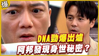 《黃金爆爆爆》黃金歲月 EP238 DNA勁爆出爐  阿邦發現身世秘密？