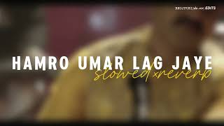 HAMRO UMAR LAG JAYE || SLOWED+REVERB || #pawansingh