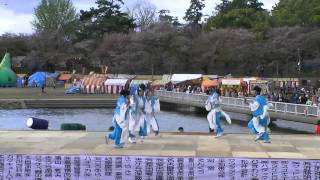 「-鳴子踊会- 大河」　どまつり夜桜in岡崎2013