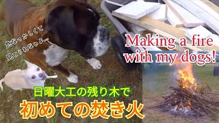 初めての焚き火🔥 犬も呆れるビギナーキャンパー⚒️　Part1｜Beginner Camper Making a Fire with dogs!