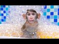 bibo monkey takes care of baby monkey with rainbow ice cream and swim with duck kudo animal bibo