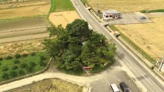 弁天山_日本一低い(自然の)山_徳島県徳島市_ドローン空撮