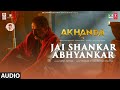 Jai Shankar Abhyankar Audio Song | Akhanda (Hindi) | N Balakrishna, Pragya | Sapna | Thaman S