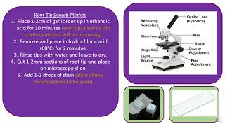 AQA A Level Biology 2.2 Required Practical 2