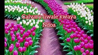 Calvary Liwale #kwaya (Choir) Ndoa Official_Audio