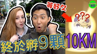 等好久終於孵出它！9顆10公里蛋又來啦！【劉沛 寶可夢³ 6】