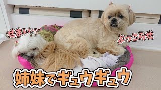 姉妹でギュウギュウ… 【ひみつきちなう！①】2019年3月19日