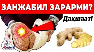 ДИҚҚАТ! ЗАНЖАБИЛ ХАҚИДА СИЗ БИЛМАГАН СИРЛИ ХУСУСИЯТЛАРИ