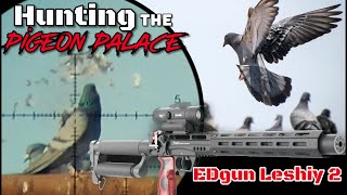 Hunting The Pigeon Palace With The Edgun Leshiy 2 Part 1